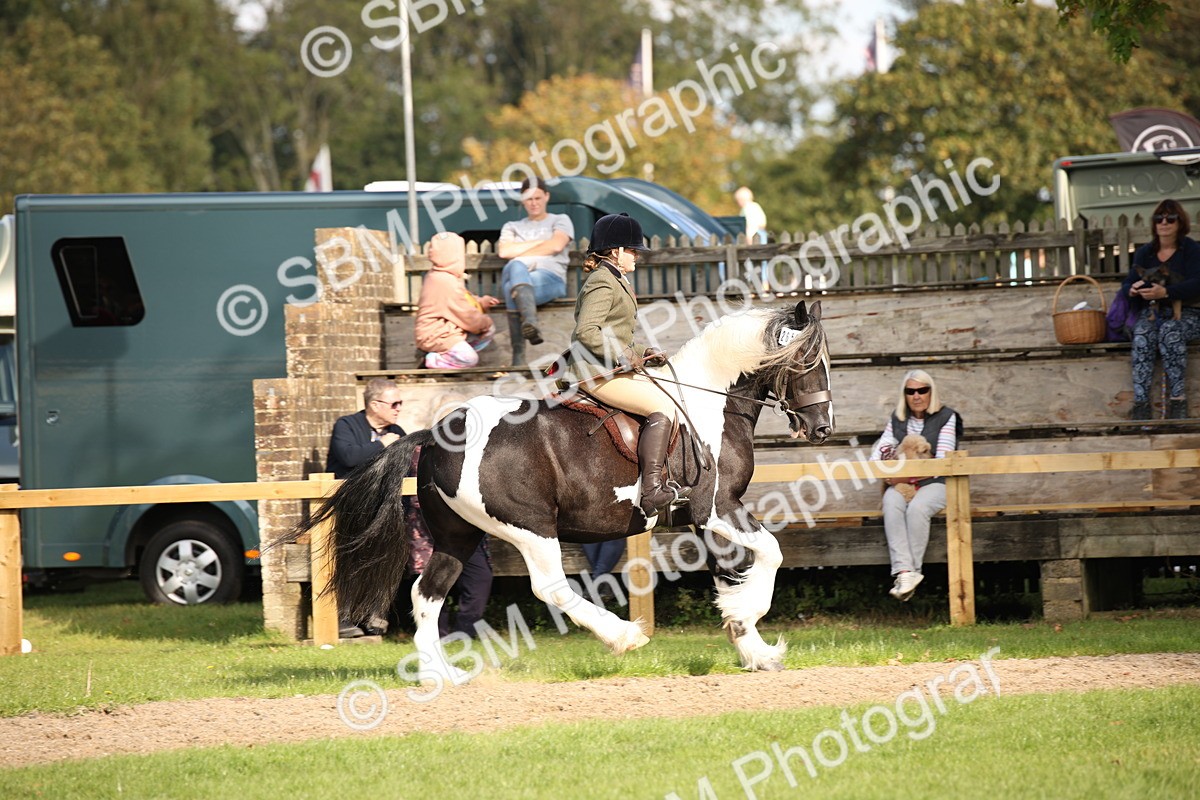 SBM_50137 - S26 - Young Veteran - Ridden