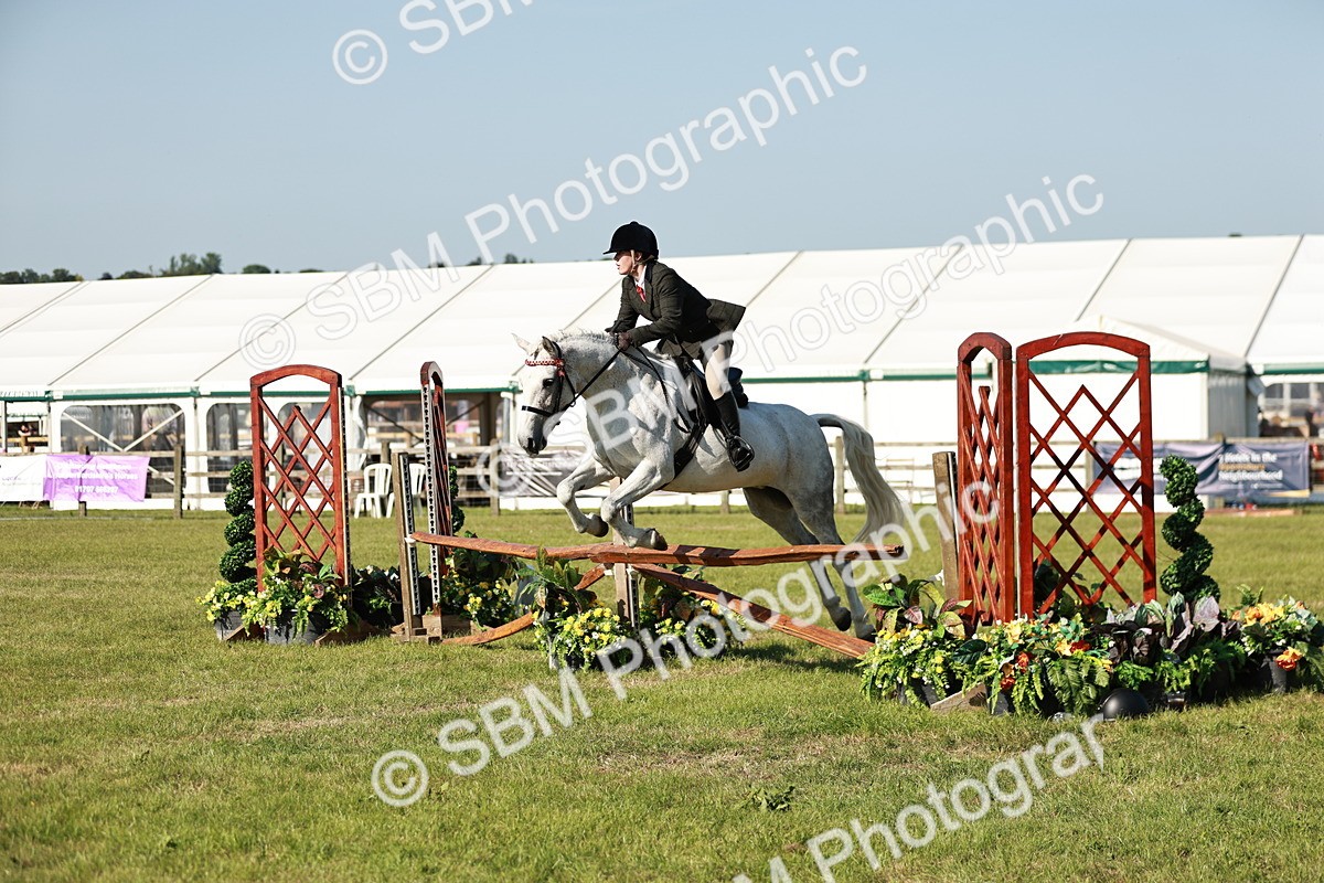 SBM_19206 - Class 115-116 - LIHS BSHA Rising Star Working Hunter & Show Horse