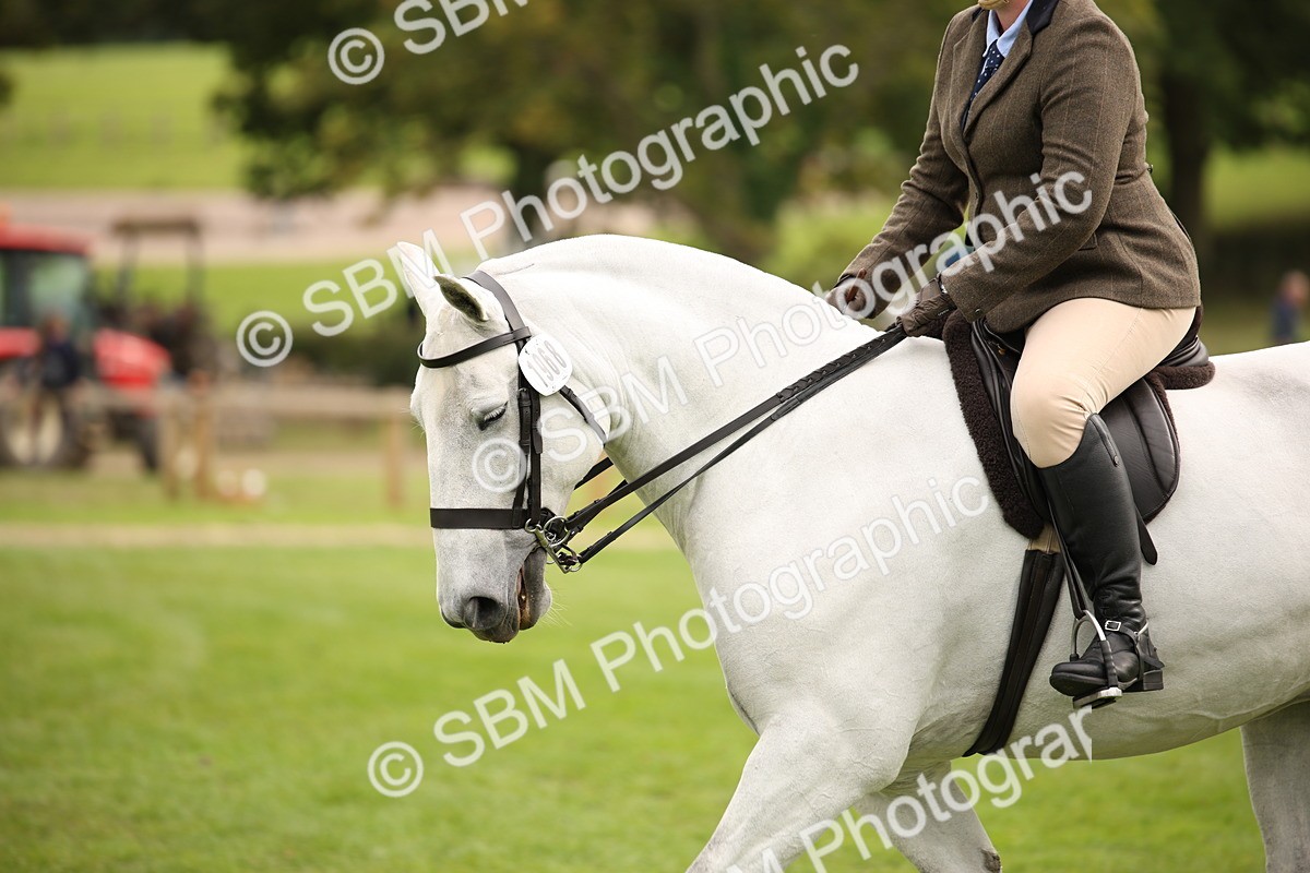 SBM_72385 - S67 - Show Cob Ridden