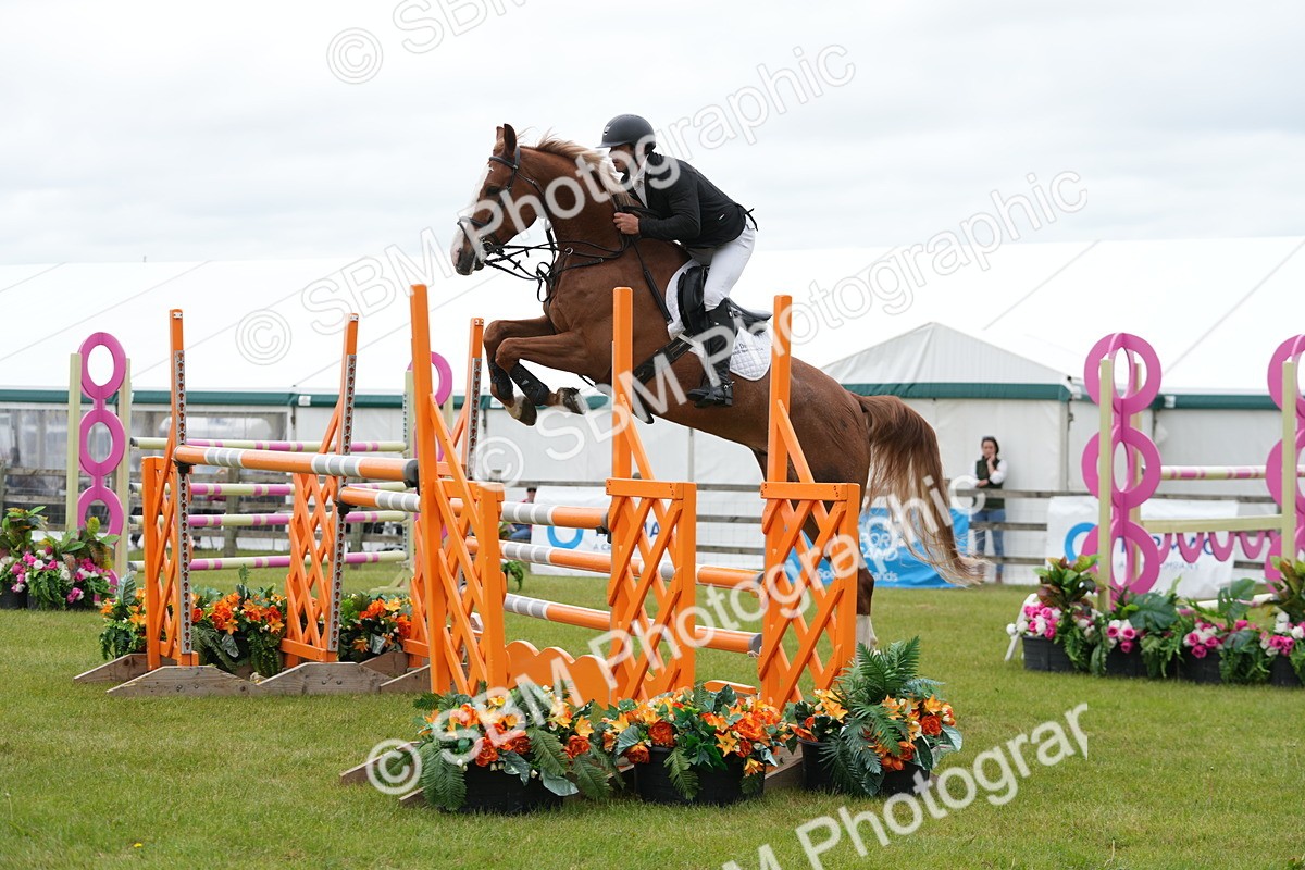 SBM_03216 - Class 201 - British Horse Feeds Speedi Beet Horse of the Year Show Grade  C