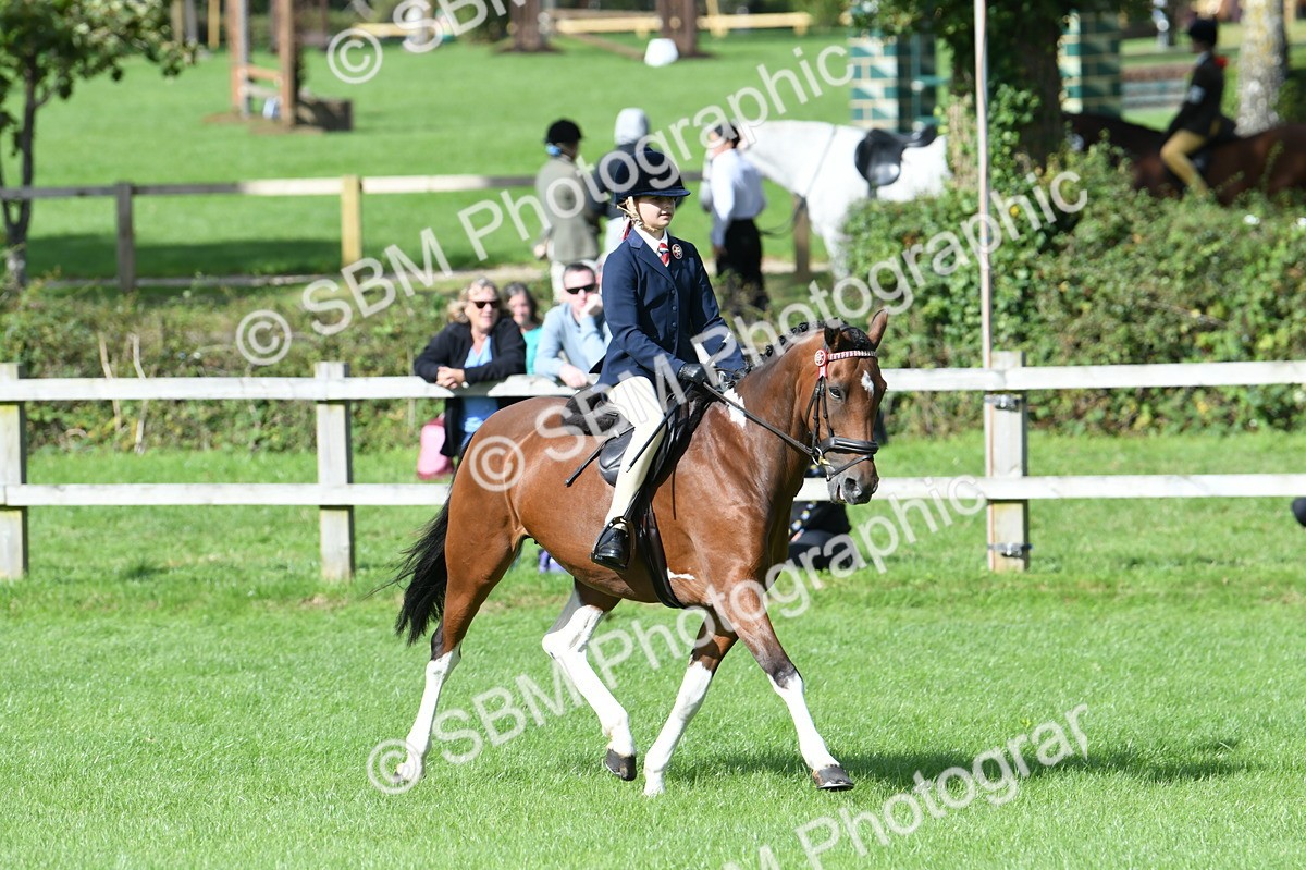 SBM_47141 - S12 - Family Horse & Pony