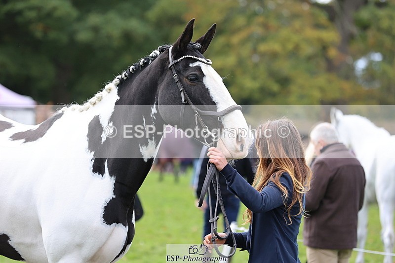 251026A-113952-25602 - F-457-Kayli.Goddard