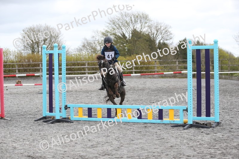 20260412-0576 - Show Jumping