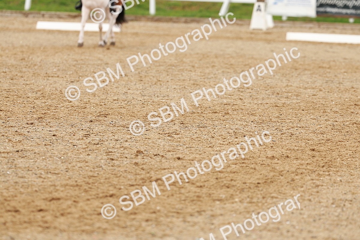 SBM_002724 - Class 6-7 - N2 N3