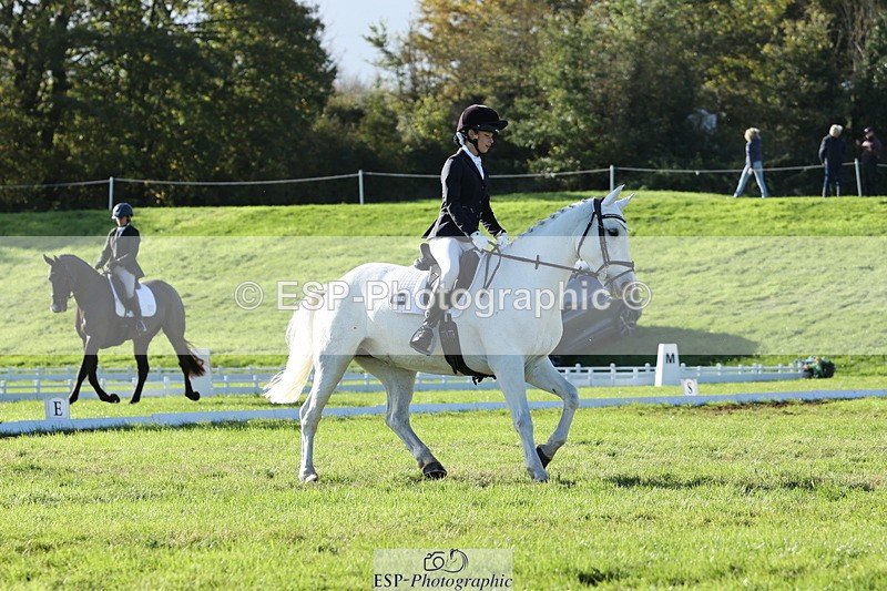 251024A-144055-14090 - F-479-Poppy.Wellman