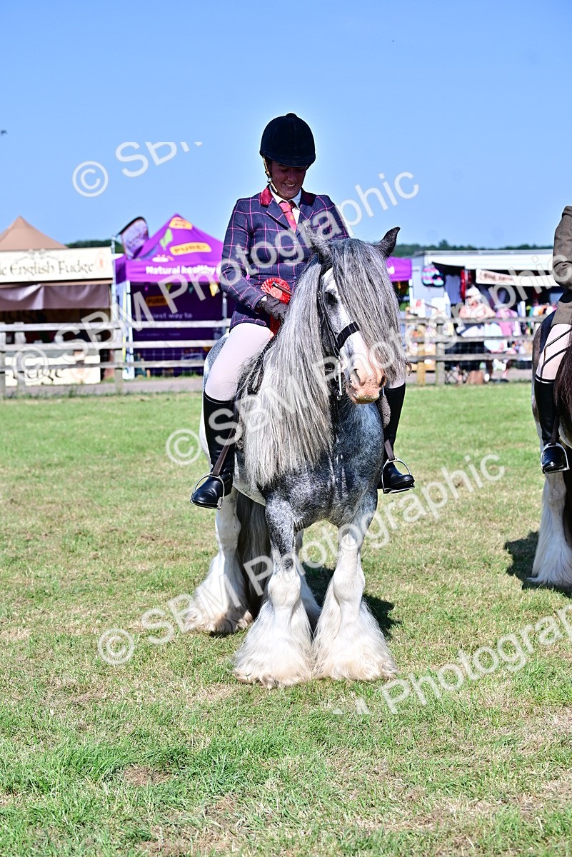 SBM_19455 - Class 101-102 - BSPS LIHS Performance Coloured Horse/Pony