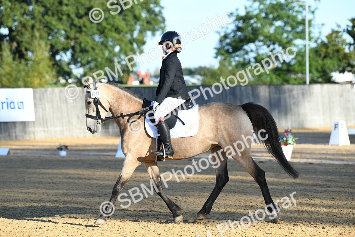 SBM_14318 - D4 - Small Tour Championship - Intro B