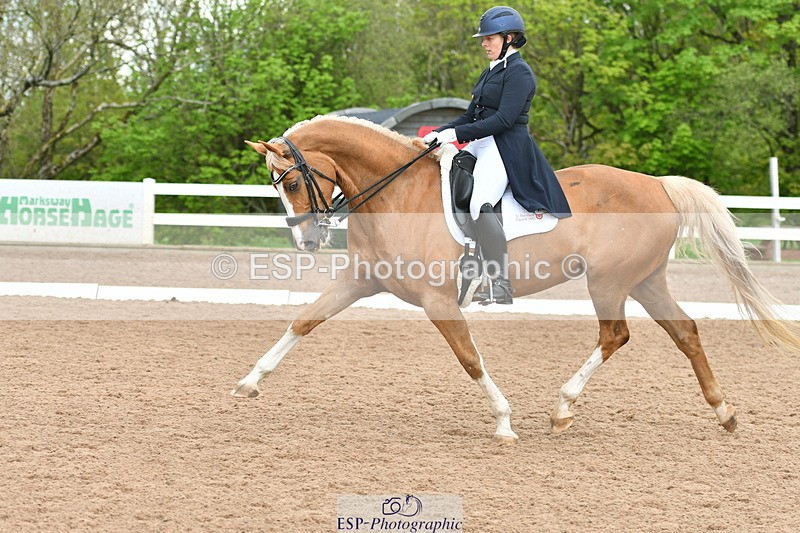 230511A-160203-01279 - BD Cls 18 FEI PSG