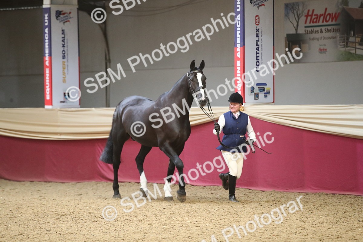 SBM_05275 - Class 8R - Regional IH Veteran