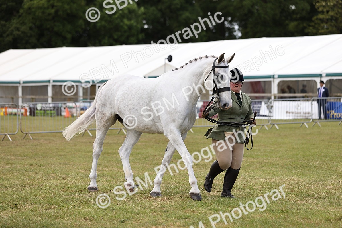 SBM_14742 - Class 88-89 - LIHS BSHA Rising Star of Ridden Hunter Type