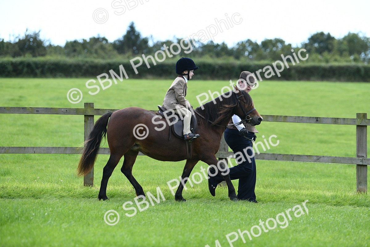 SBM_42452 - S20 - Lead Rein Mountain & Moorland Pony