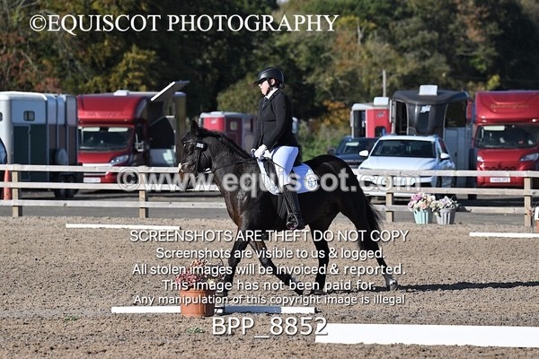 BPP_8852 - SHORT ARENA