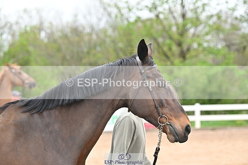 250423-160329-01915 - 4pm to 5pm