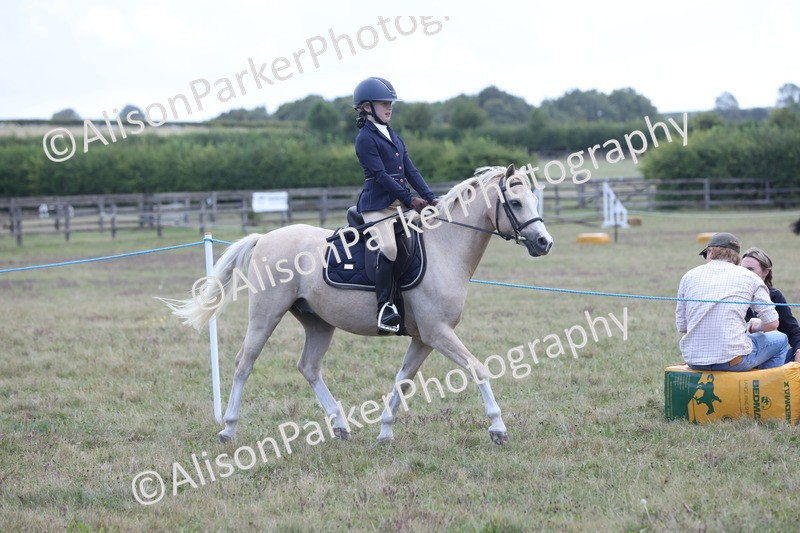 20250831-2368 - Class 16 - Family Pony