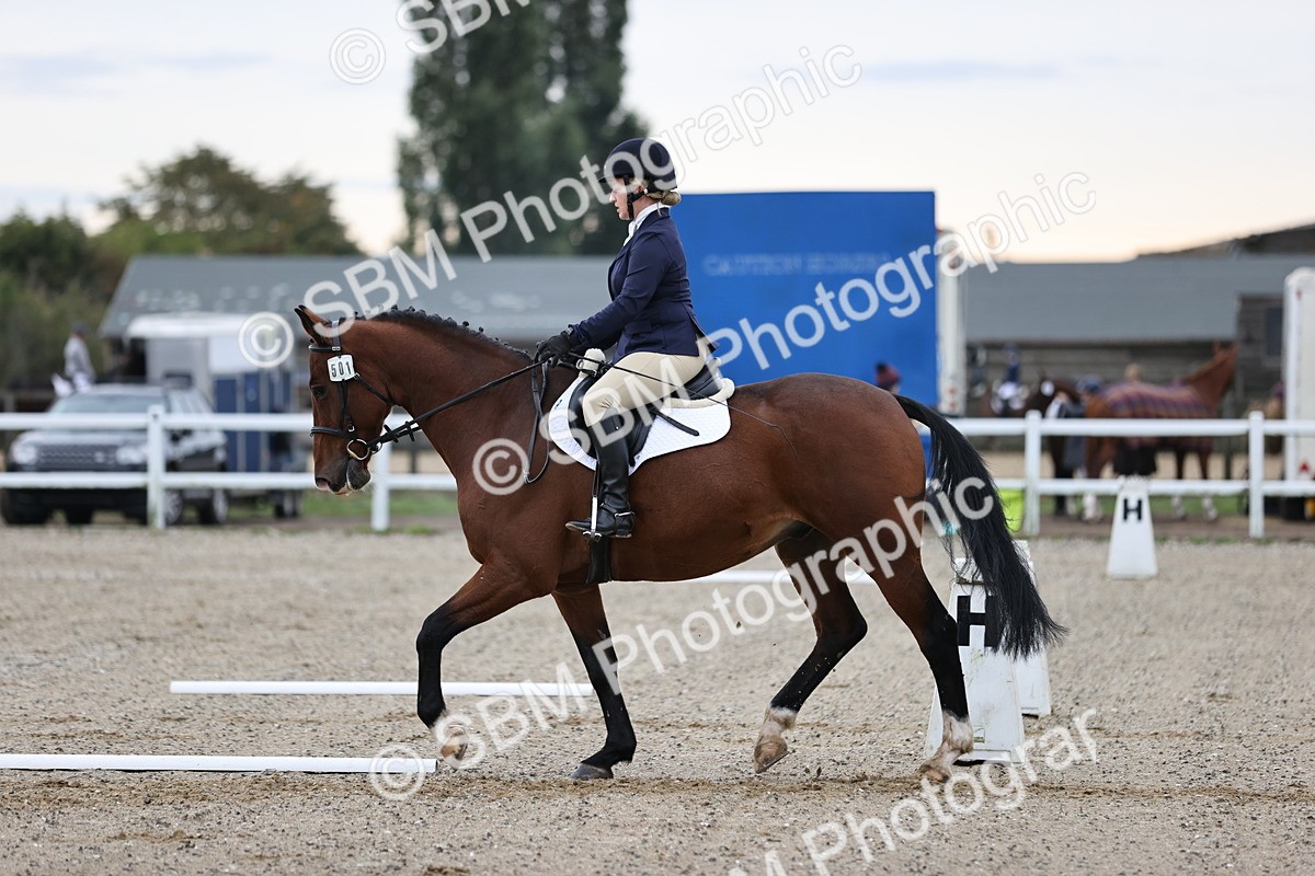 SBM_000310 - Prelim 3