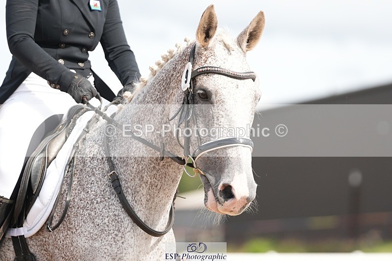 250906-114210-01647 - 009-Terri.EllawayTagula.Passion