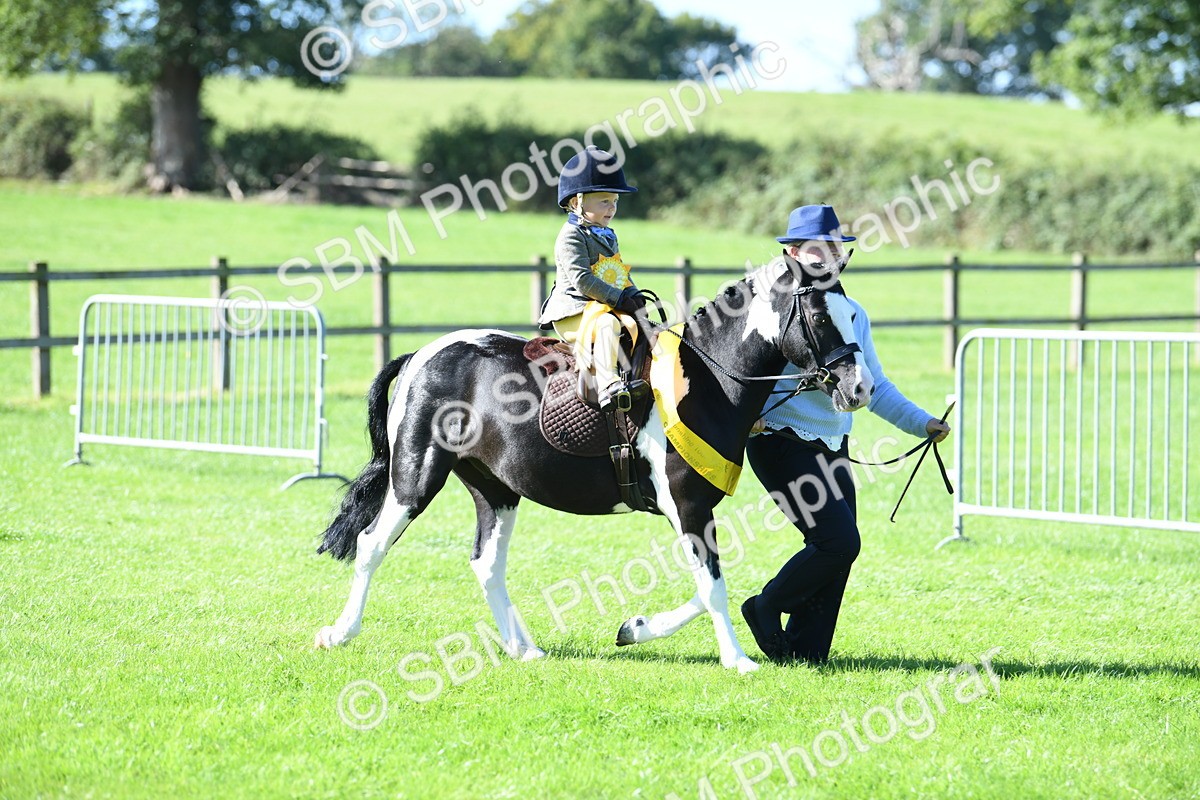 SBM_37099 - S18 - Novice & Newcomers Lead Rein Pony