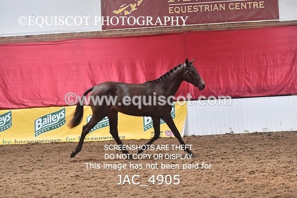 JAC_4905 - 4 River Dance, Take A Chance
