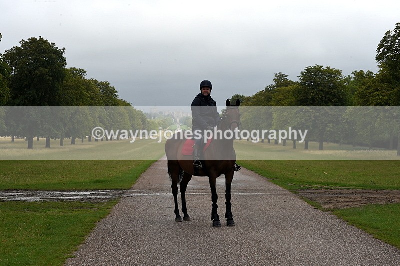 TT3_8319 - Time at Crossing 10:16 to 11:38