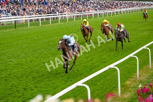 220824-Race 5-Scenic-7621 - Race 5 4.10pm British EBF & Sir Henry Cecil Galtres Stakes