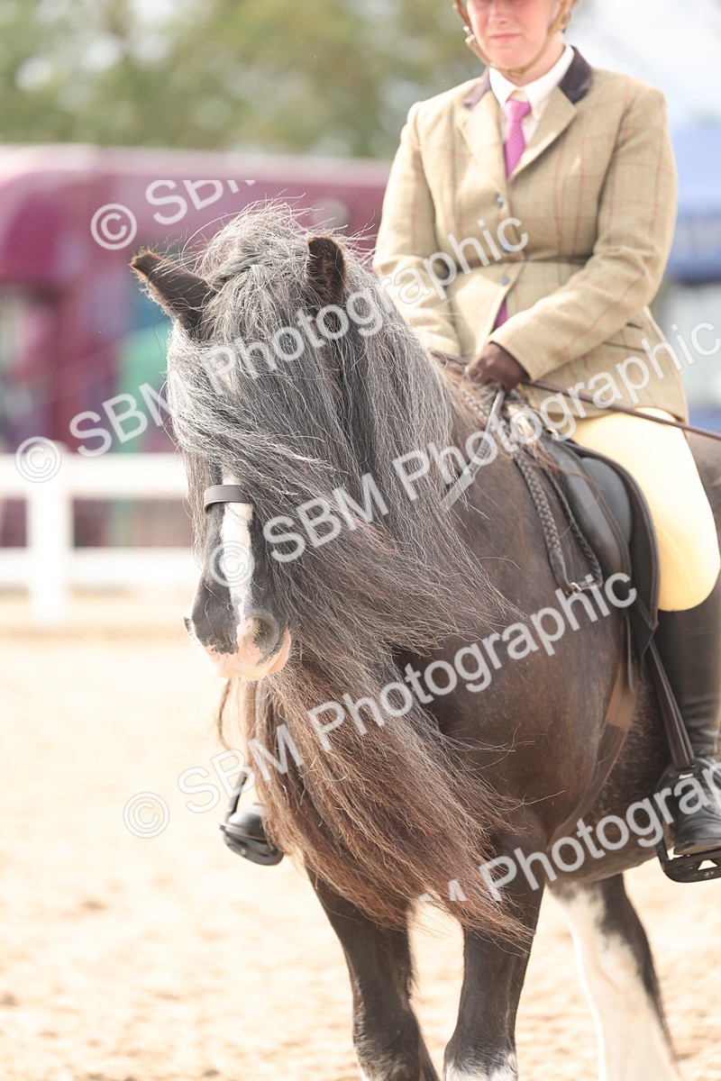 SBM_18042 - Class 314 - Family Horse Pony