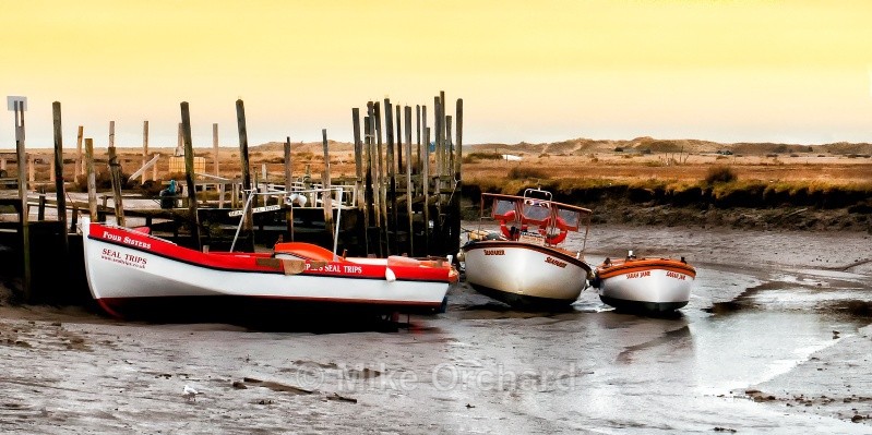 Seal trips - Blakeney - Norfolk - Landscapes