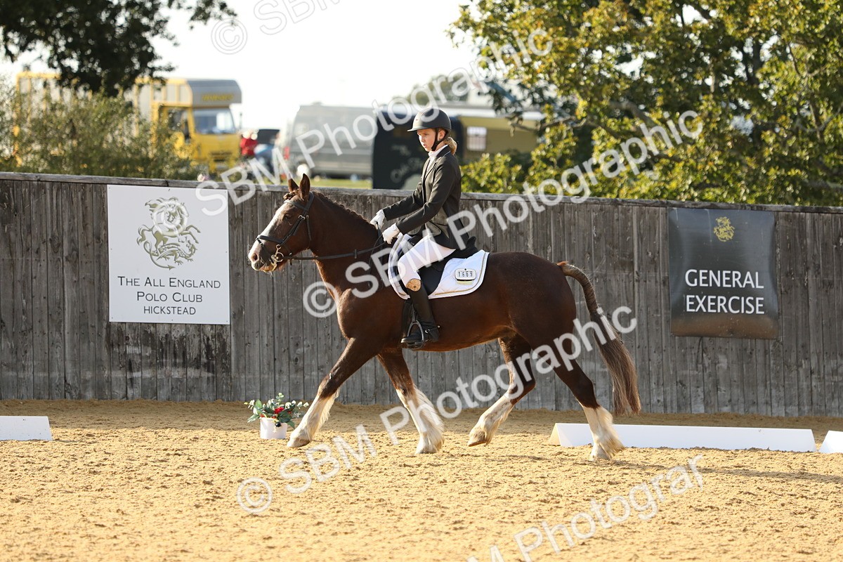 SBM_53114 - D23 - Junior Championship - Prelim 12