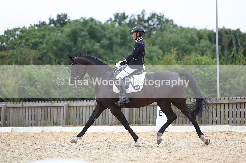 3E7A7263 - Class 9: Elementary 4 2024 - No sections