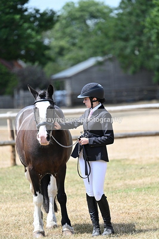 WJ7_1987 - Class 4a Prettiest Mare 14.2hh and over hand