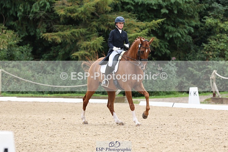 240810-133352-03337 - 188-Amanda.Towle.Shaw-Rockwood.Virtue