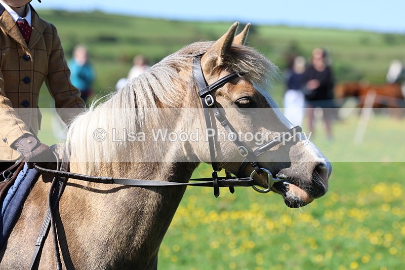 3E7A9245 - Class 3: First Ridden