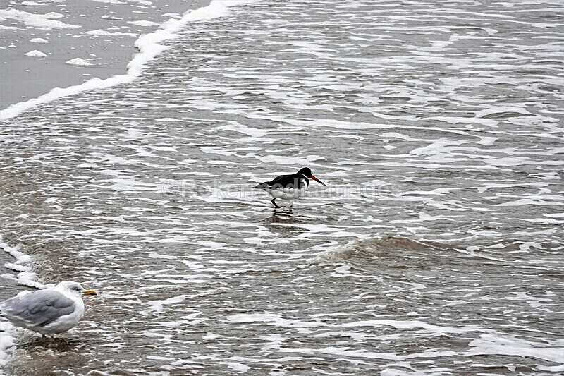 DSC07951 - SEPT 2020 STAYCATION