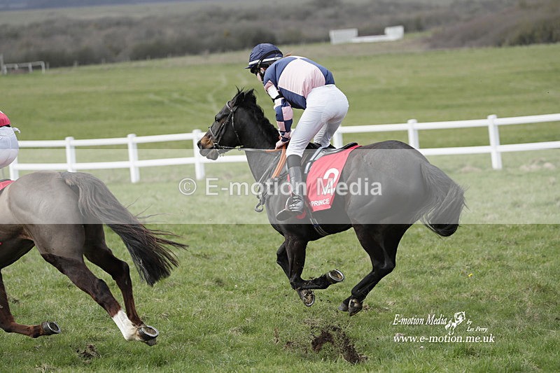 PtP 260323 1042 - New Forest Hounds Point-to-Point Larkhill 26/03/23