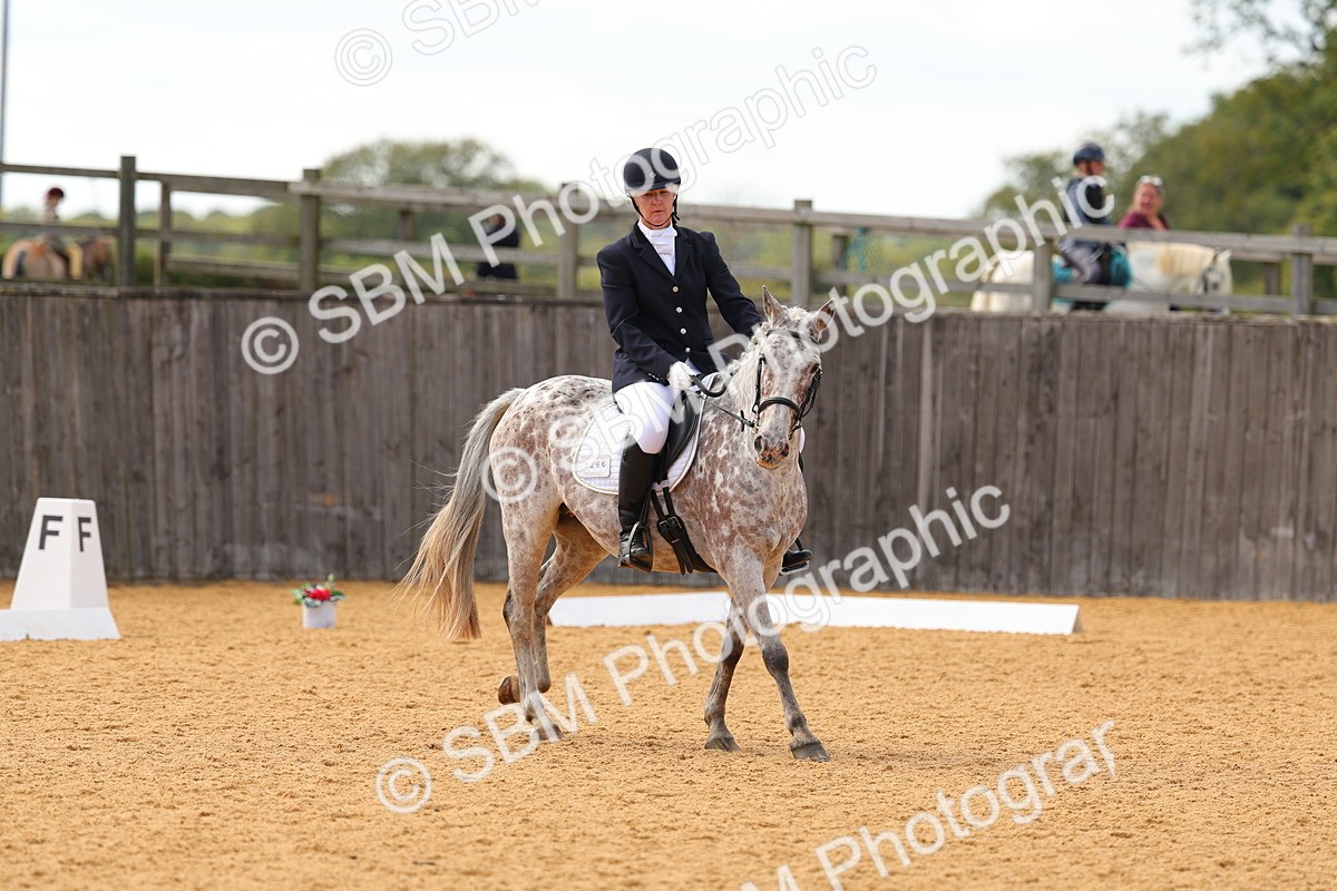 SBM_43959 - D6 - Small Tour Championship - Intro C