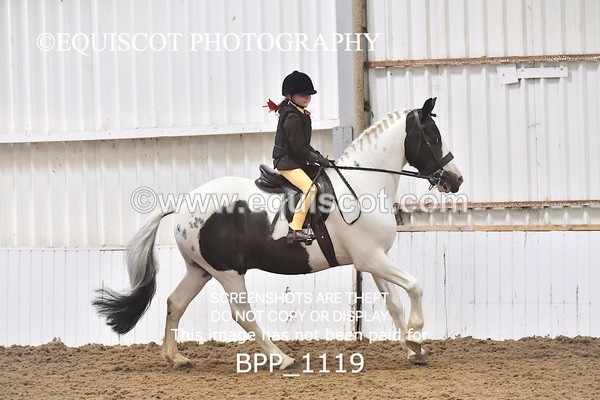 BPP_1119 - RING 2