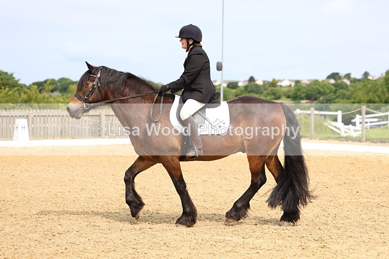 3E7A9093 - Class 2: Intro 1 2024 Section B