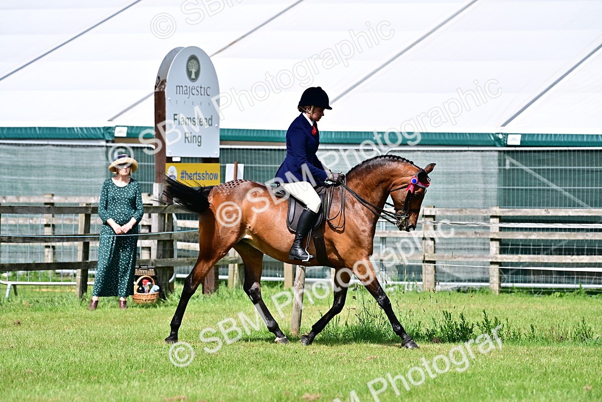 SBM_03719 - Class 58 - TSR  Ridden Veteran Amateur of the year