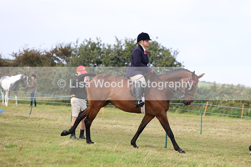 3E7A3950 - Class 4: Best Combination Open