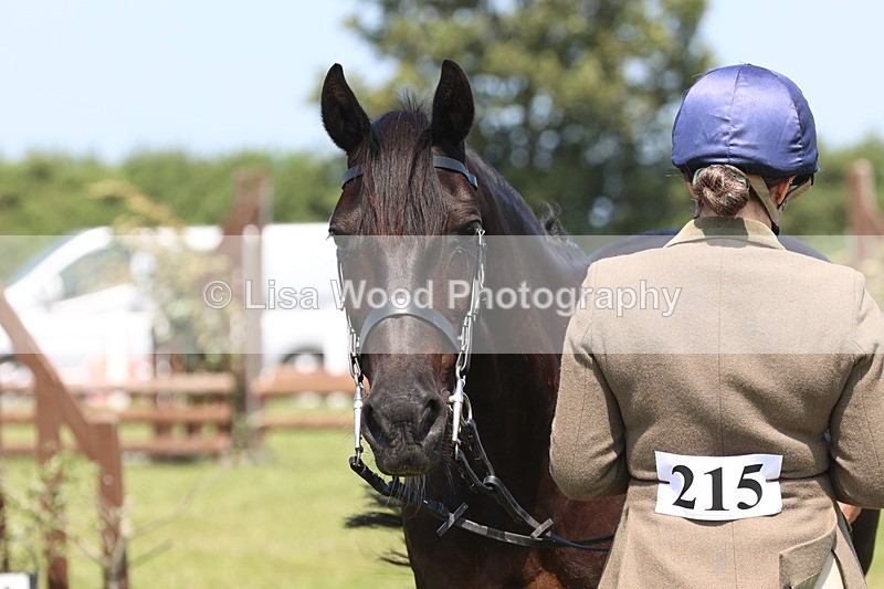 JPP_2840 - Class 21: Working Hunter 60cm