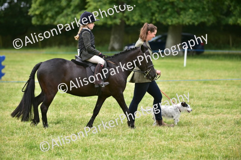 20260614-4512 - Class 19 - Cutest Pony, Rider and Dog Combination