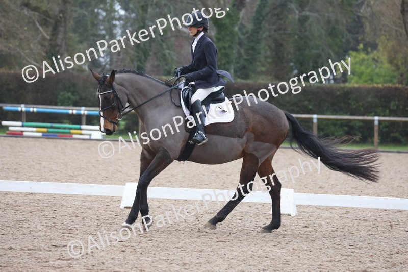 20251206-0531 - Class 5 - Novice 2