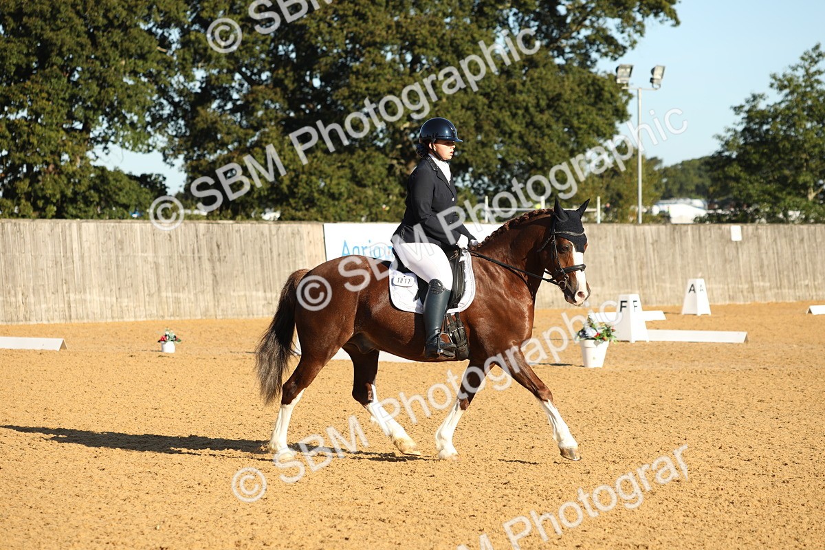 SBM_14185 - D10 - Small Tour Championship - Prelim 2