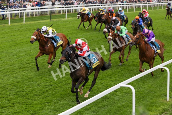 150524-Race 2-Aleezdancer-1475 - Race 2 2.45pm Churchill Tyres Handicap
