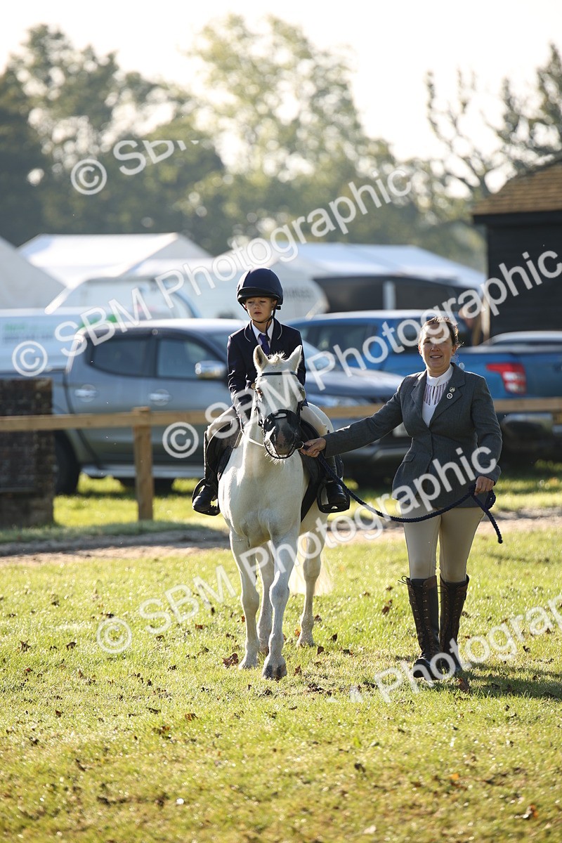 SBM_34199 - S9 - Lead Rein Equitation