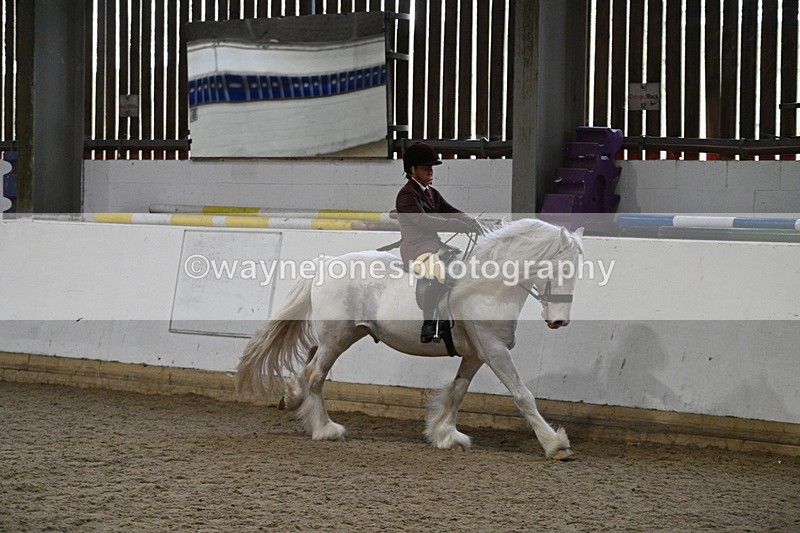WJ7_4225 - Class 17 Ridden Cob