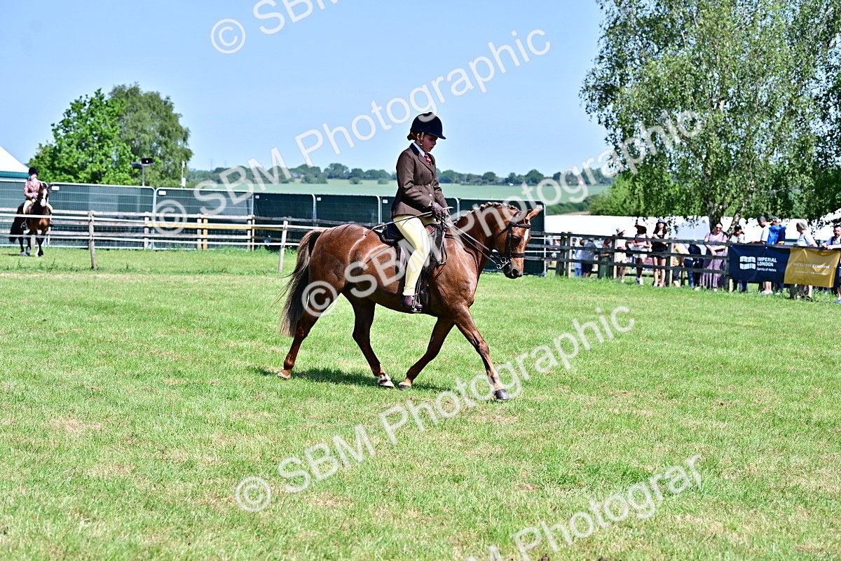 SBM_13970 - Class 95-97 - BSPS LHS Performance Ponies