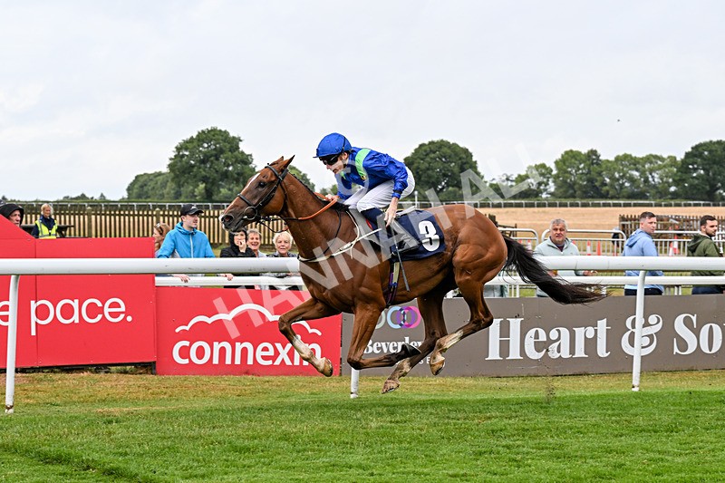 150725-Race 5-Sax Appeal-0790 - Race 5