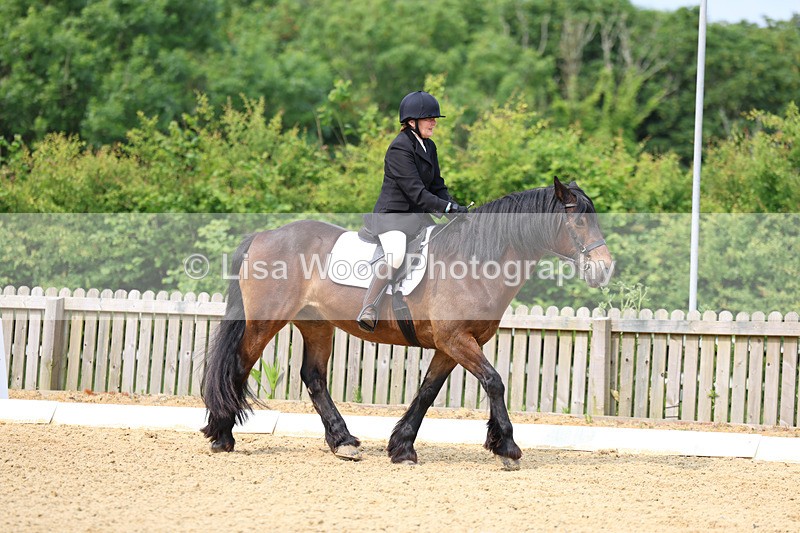 3E7A9076 - Class 2: Intro 1 2024 Section B