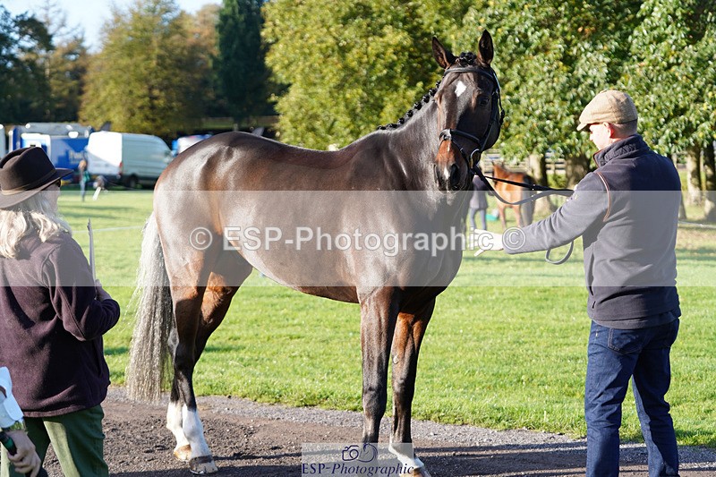 241026-100148-11551 - 005-Matthew.Heath-DIEGOS.ROSE