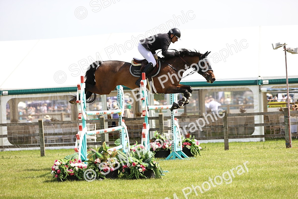 SBM_03271 - Class 201 - British Horse Feedds Speedi Beet HOYS Grade C